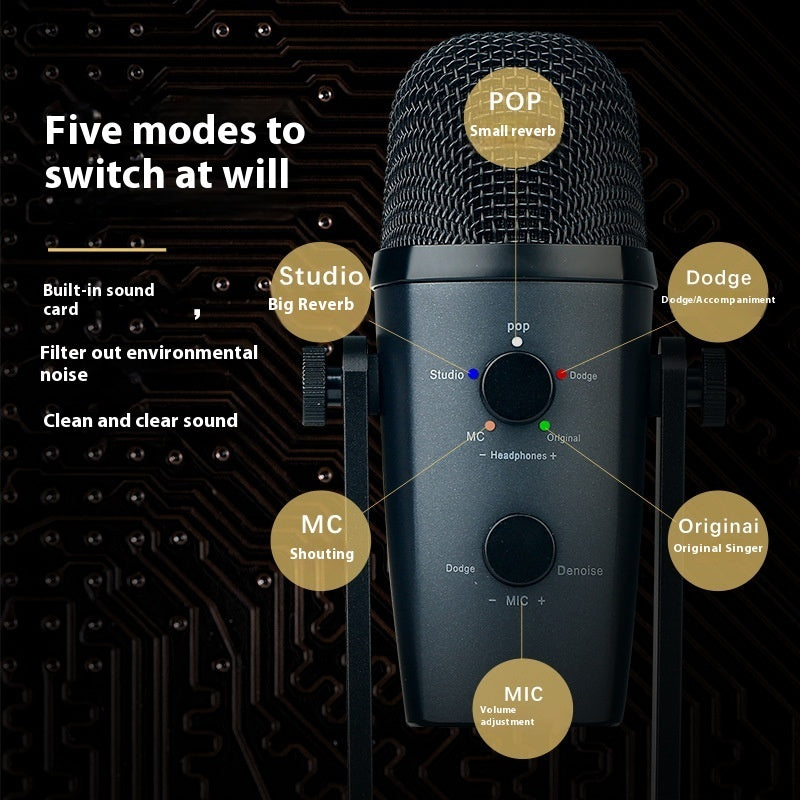 Studio USB Microphone – 5 Sound Modes
